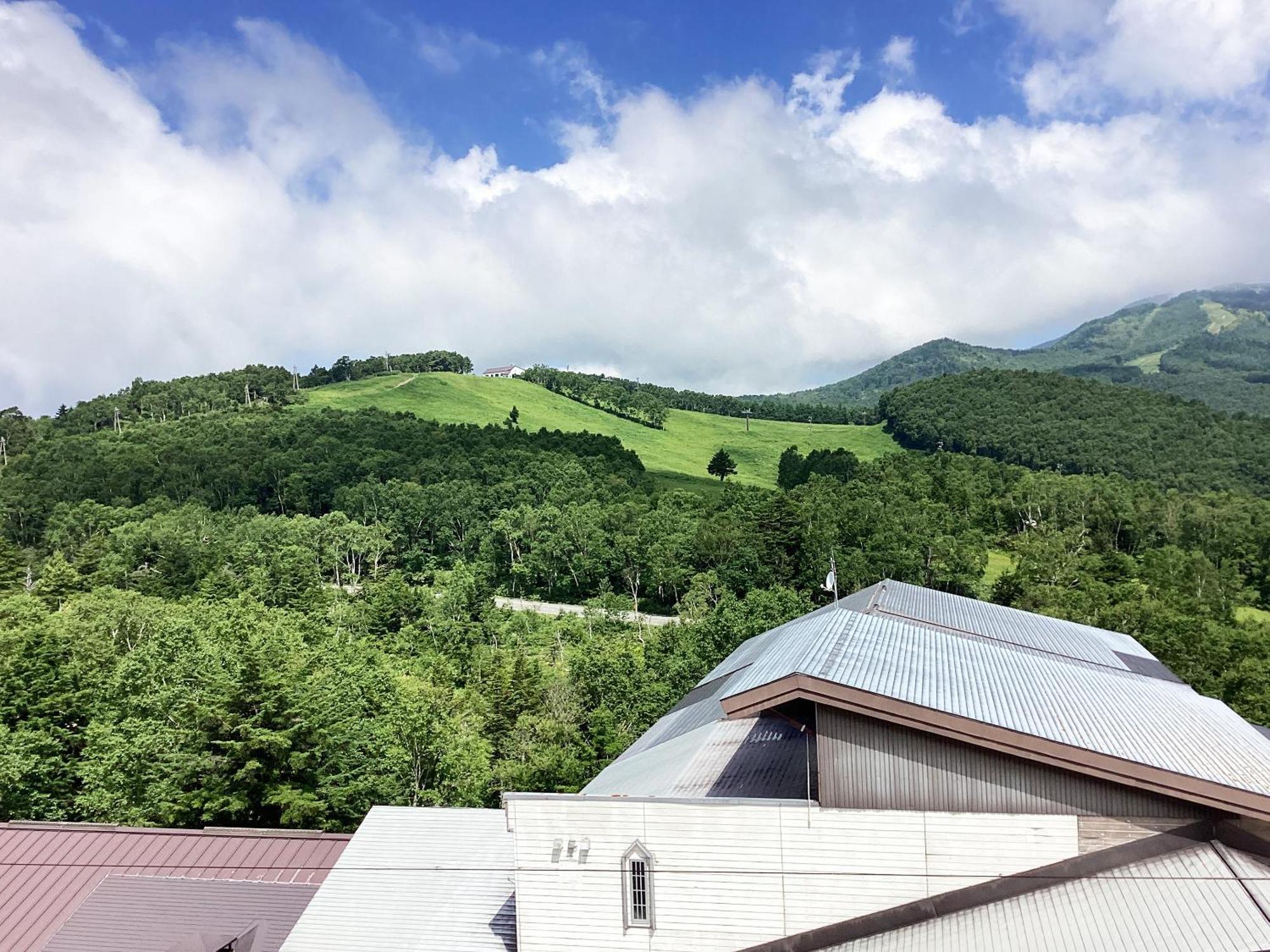 Shiga Ichii Hotel Yamanouchi  Δωμάτιο φωτογραφία